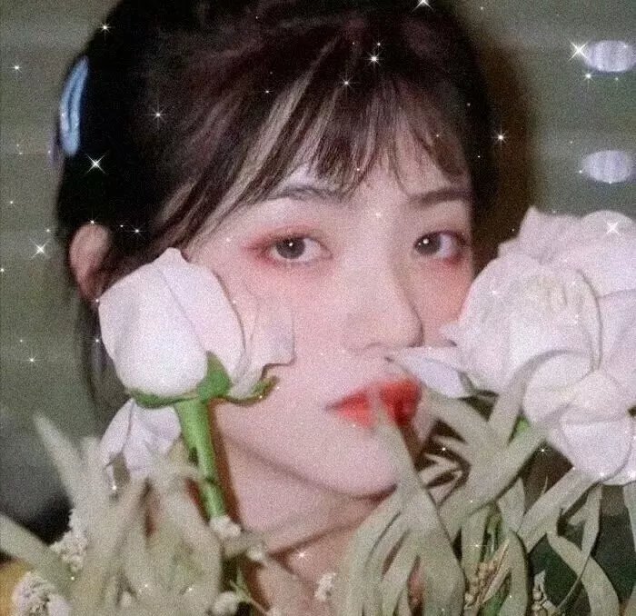 中国诗词大会第四季